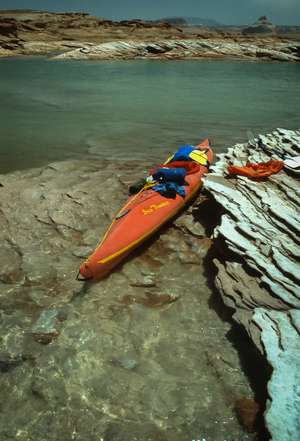 Taking a break on a shallow shelf in the main channel