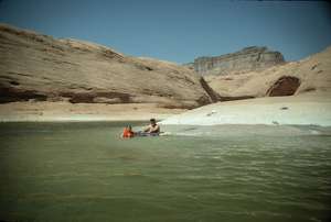 Friendly houseboaters taking a splash